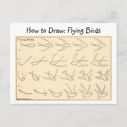 Comment dessiner les oiseaux volants Carte postale (Devant)