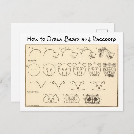 Comment dessiner un ours et un raton laveur carte  (Devant / Derrière)