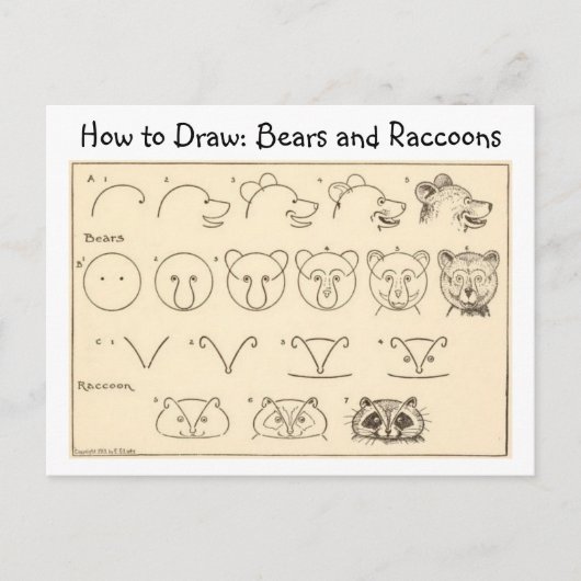 Comment dessiner un ours et un raton laveur carte  (Devant)