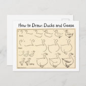 Comment dessiner une carte postale Vintage canard  (Devant / Derrière)