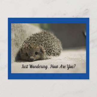 Comment Es-Tu La Carte Postale Hedgehog