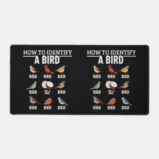 Comment Identifier Un Oiseau Drôle À Observer (Recto)