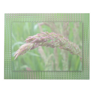 Comment l'herbe grandit Bloc-notes
