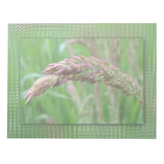 Comment l'herbe grandit Bloc-notes (Devant)