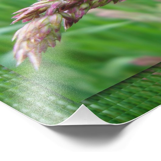 Comment l'herbe grandit Impression photo (Coin)