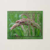 Comment l'herbe grandit Puzzle (Horizontal)