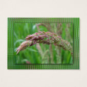 Comment l'herbe grandit Signet (Dos)