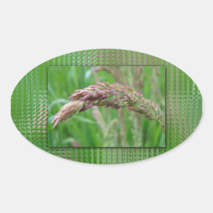 Comment l'herbe pousse des autocollants