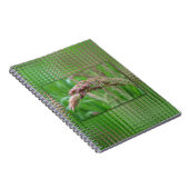 Comment l'herbe pousse le Carnet (Côté Droit)