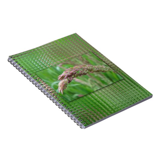 Comment l'herbe pousse le Carnet (Côté Droit)