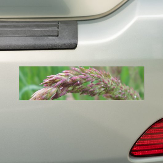 Comment l'herbe pousse Sticker pare-chocs (En voiture)