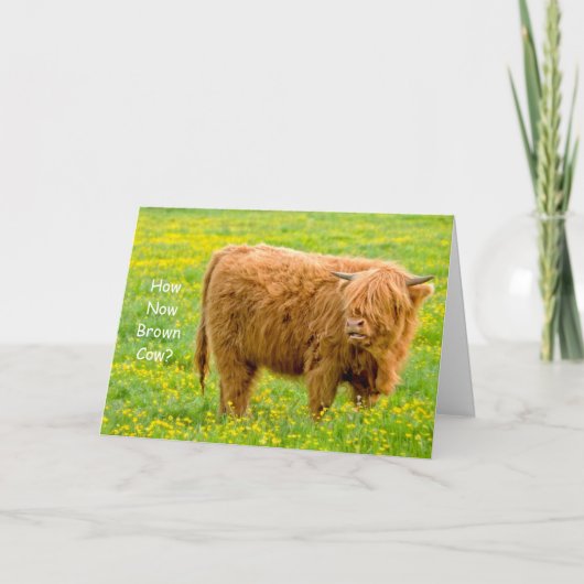 Comment maintenant vache Brown ? Carte (Devant)