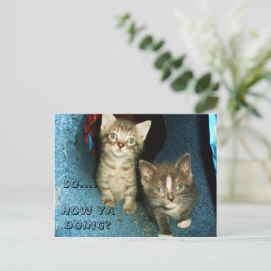 COMMENT OUI FAIRE, carte postale KITTY (Debout devant)