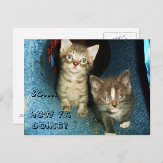 COMMENT OUI FAIRE, carte postale KITTY (Devant / Derrière)