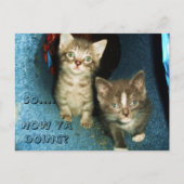 COMMENT OUI FAIRE, carte postale KITTY (Devant)