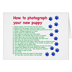 Comment photographier votre nouveau chiot