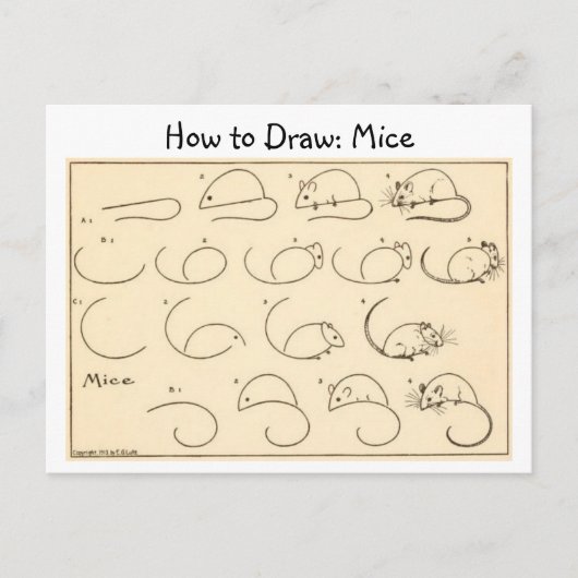 Comment tirer des souris carte postale Vintage (Devant)