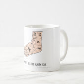 Comment une fourmi de taureau voit la tasse de (Devant droit)