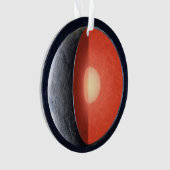 Comment Une Planète Rocheuse Se Forme. (devant)