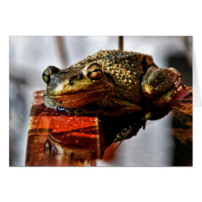 Comment vas-tu ? (Devant horizontal)