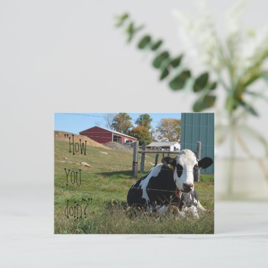 "Comment vas-tu ?" carte postale de vache (Debout devant)