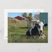 "Comment vas-tu ?" carte postale de vache (Devant / Derrière)