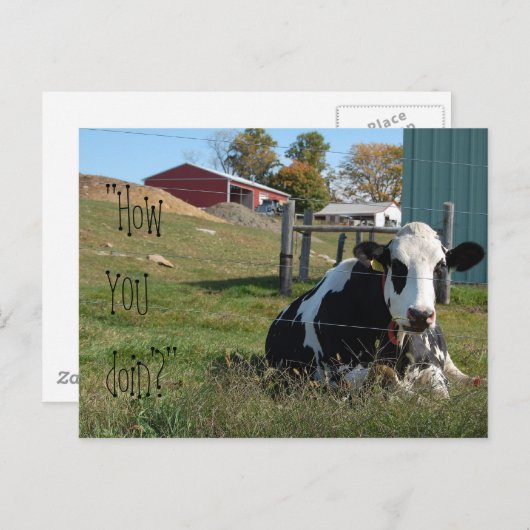 "Comment vas-tu ?" carte postale de vache (Devant / Derrière)
