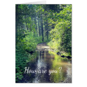 Comment vas-tu ? Forest Lake Wilderness Paysage (Devant)