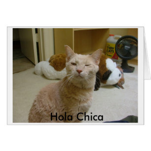 Comment vas-tu ?, Hola Chica