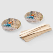 Common Agama Handwaaier (Niet-gemonteerd)