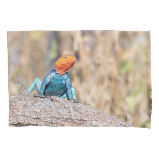 Common Agama Kussensloop (Voorkant)