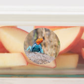 Common Agama Labels (Aangebracht)