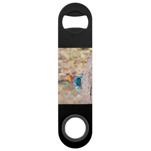 Common Agama Speed Flessenopener (Achterkant)