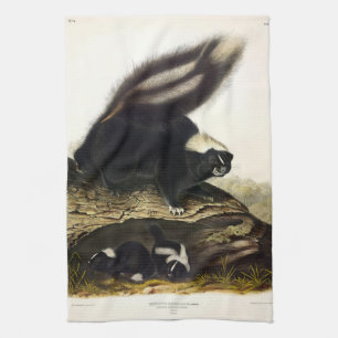 Common American Skunk of Gestreepte Skunk, door Au Theedoek