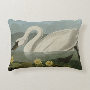 Common American Swan - Audubon's Birds of America Accent Kussen