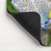 Common Blue Butterflies Mouse Mat Muismat (Hoek)