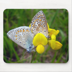 Common Blue Butterflies Mouse Mat Muismat