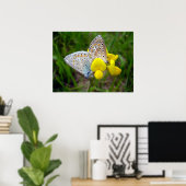 Common Blue Butterflies Poster (Thuiskantoor)