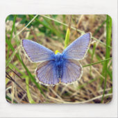 Common Blue Butterfly-muis Muismat (Voorkant)