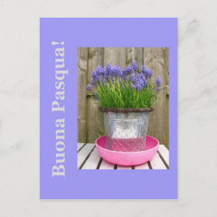 Common blue hyacints easter groet - italiaans feestdagenkaart