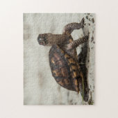 Common box schildpad legpuzzel (Verticaal)