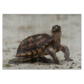 Common box schildpad snijplank (Voorkant)