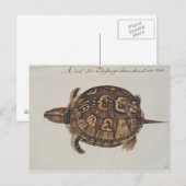 Common Box Tortoise Briefkaart (Voorkant / Achterkant)