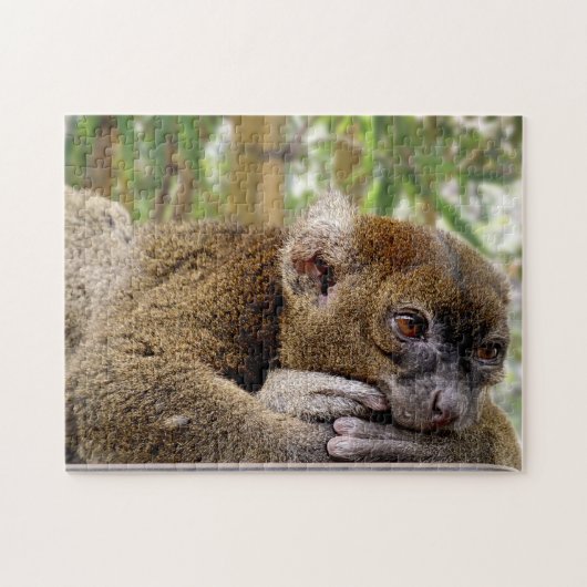 Common Brown Lemur, Jigzaag Puzzle Legpuzzel (Horizontaal)