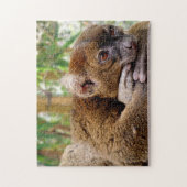 Common Brown Lemur, Jigzaag Puzzle Legpuzzel (Verticaal)