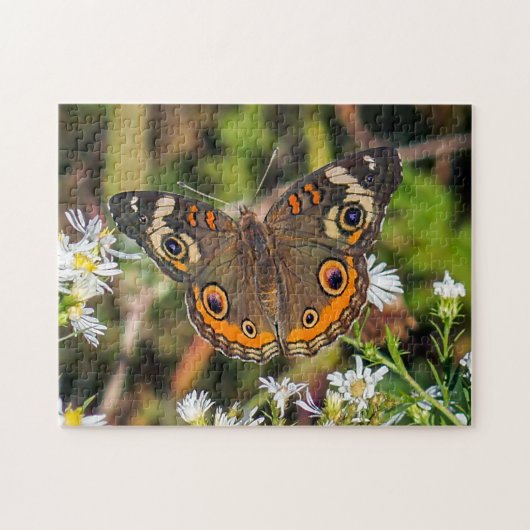 Common Buckeye Butterfly Puzzle Legpuzzel (Horizontaal)