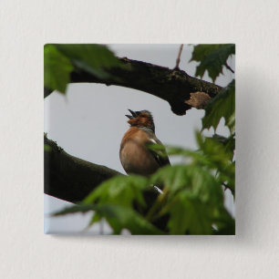 Common Chaffinch Vierkante Button 5,1 Cm