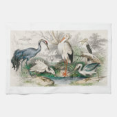 Common Crane, White Stork, Gigantic Crane, Vaak Theedoek (Horizontaal)