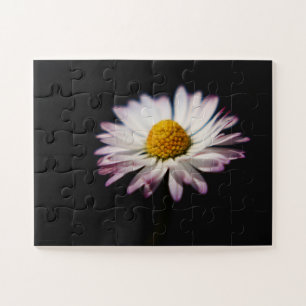 Common Daisy 11x14 30pc jpcn Legpuzzel