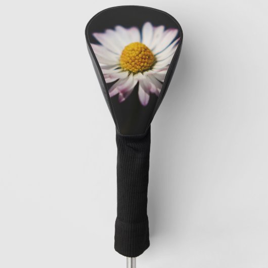 Common Daisy dccnm Golfheadcover (Voorkant)